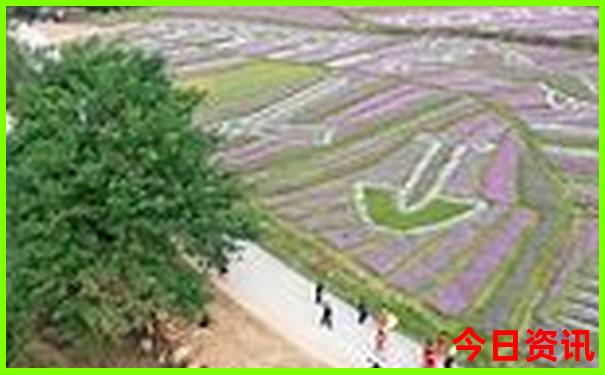 四川漂流哪里最好玩